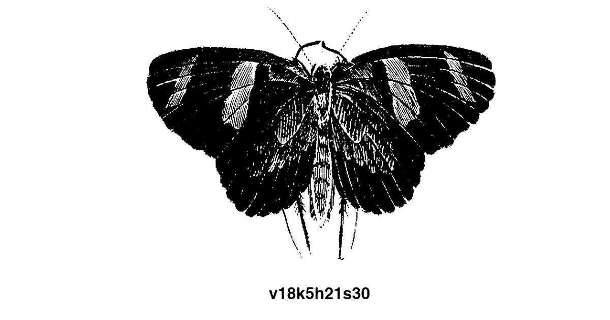 svart illustrerad fjäril.